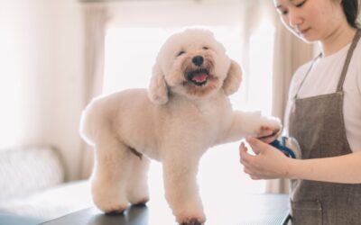 Everything You Know About Us is Good  | 818 755 7900 | Call Today