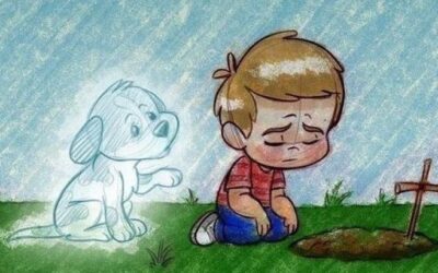 Losing a Pet is Painful Most People Don’t Realize it